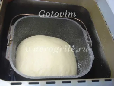 aluat dospit în aparat de făcut pâine (pâine maker) aluat dospit în mașina de pâine