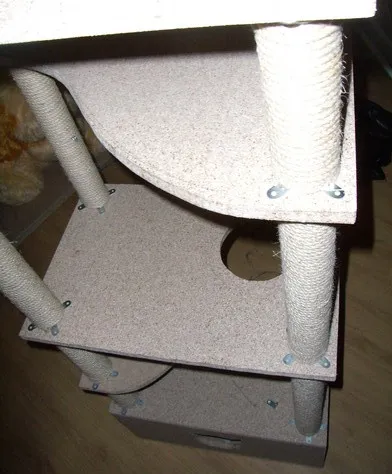 Pisica Casa cu propriile sale mâini