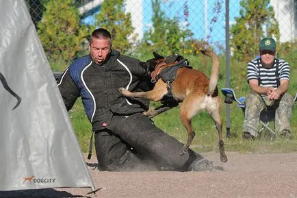 Formarea de caini si catei din Moscova