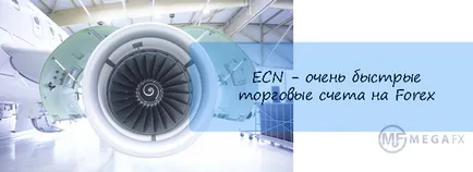 ECN-cont de ceea ce este