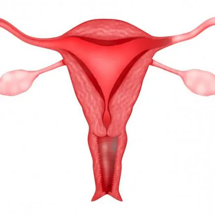 ectopic de col uterin