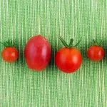 Tomate pentru pierderea in greutate (dieta 3, 2 recenzii reteta)