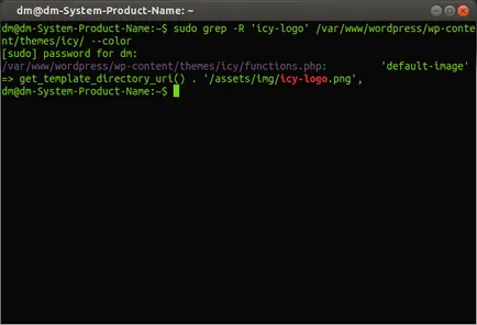 Căutați text în documente sau grep pentru a ajuta la blog despre Linux Ubuntu