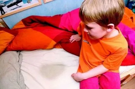 Enurezis la copii - tratament înseamnă cauze ale oamenilor și tratamentul eficient al enurezis la copii (tratament) Enurezis la copii - Tratamentul de remedii populare cauzele si tratamentul eficient al enurezis la copii