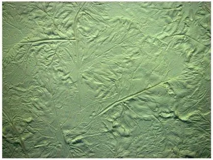 Textured mâinile ipsos - tipuri, tehnologie de aplicare (Gross) Textured ipsos mâini - tipuri, tehnologia de aplicare