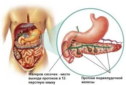 Enzime indicații pancreatită și limitări pentru a primi