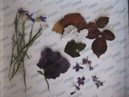 atelier Florarii