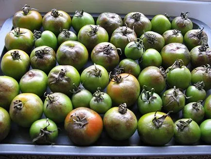 mana tomatelor