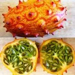 dă din cap de fructe, cum ar fi dă din cap de alimentație