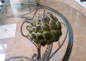 fructe Longan, proprietățile, compoziția și cum să mănânce fructe longan