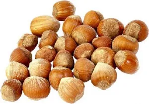 Hazelnut - bun și proprietăți utile alunei