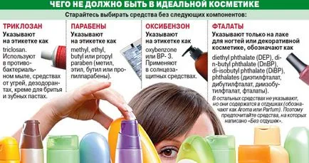 Influența Ftalații asupra corpului uman (uman) Influența Ftalații asupra organismului uman