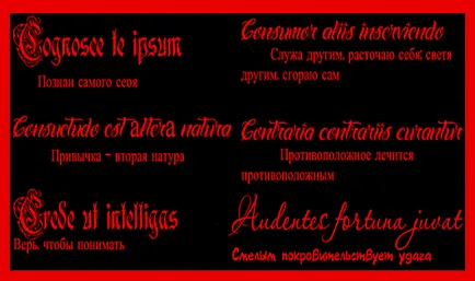 Expresii în latină despre dragoste