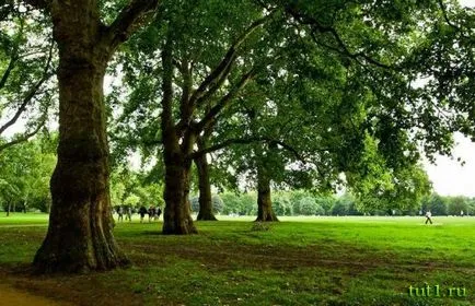 Hyde Park din Londra