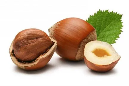 plantare și îngrijire Hazelnut