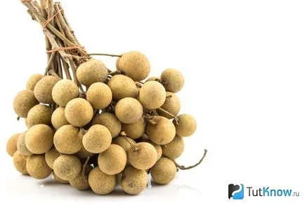 fructe Longan, proprietățile, compoziția și cum să mănânce fructe longan