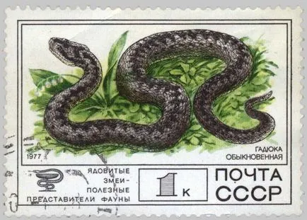 viperă