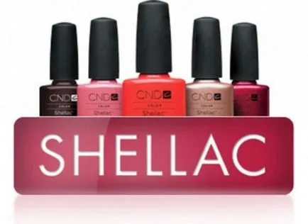 Franceză fotografii manichiură shellac (franceză) manichiură franțuzească shellac fotografie