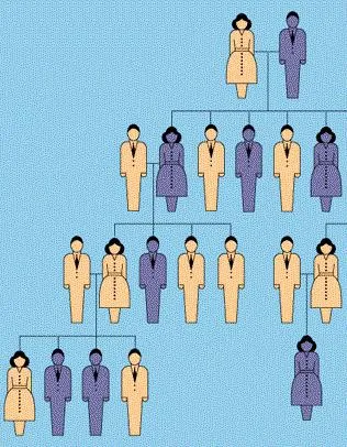 Informatiile genetice sunt gene dominante și recesive (secvență în care nucleotidele) Informatiile genetice sunt gene recesive si dominante