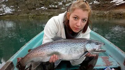 În cazul în care păstrăv de lac, fântânel, curcubeu, în special de pescuit pentru diferite tipuri de păstrăv