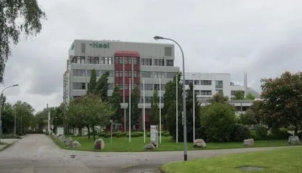 Călcâiului (homeopatie) medicamente