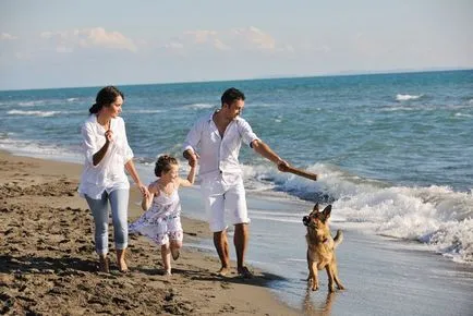 Locul ideal pentru o vacanță cu un câine (loc de odihnă la câine în cazul în care cea mai bună plajă) loc ideal pentru relaxare cu un câine