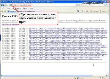 protocoale HTTP și FTP