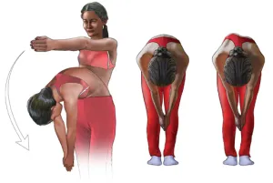 curbură a coloanei vertebrale - cum de a vindeca simptomele, Chiropractic (curbura) curbură a coloanei vertebrale - cum de a vindeca simptomele, Chiropractic