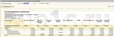 1C sin 8 Instrucțiuni pentru începători fluturaș de salariu, formează pontaje