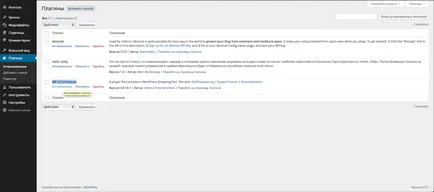 Magazin online de la noi WordPress-crearea și configurarea