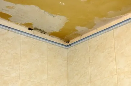 Instrucțiuni de instalare rack de plafon cu mâinile