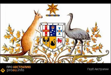 fapte interesante despre cangurul - despre Australia
