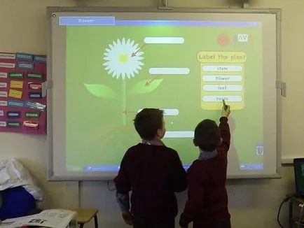 Whiteboard cum să lucreze cu ea pentru a utiliza o tablă interactivă (de lucru) Whiteboard cum să lucreze cu ea pentru a utiliza o tablă interactivă