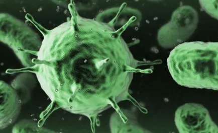 A scăpa de parazit și eficiente metode de diagnostic