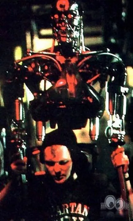 istoricul terminator