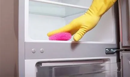 Cum pentru a dezgheța rapid congelator tine (camera foto) Cum pentru a dezgheța rapid congelator tine