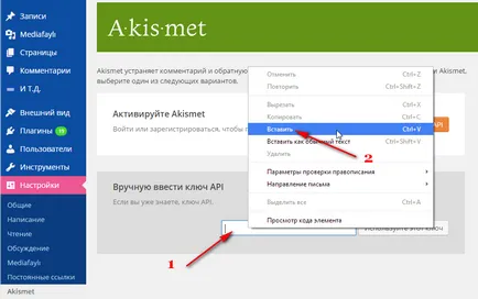 Cum de a activa Akismet plugin