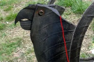 Parrot a anvelopei cu mâinile