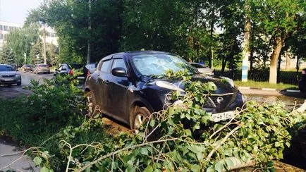 copac Procedura în cazul în care mașina a căzut