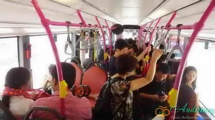 Cum se ajunge la grădina zoologică din Singapore