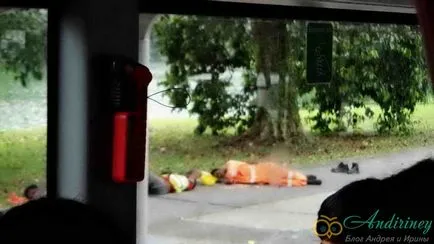 Cum se ajunge la grădina zoologică din Singapore