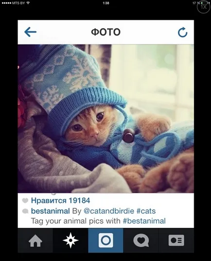 Cum se adaugă Instagram