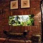 Ce semne dau fetele băieții, în cazul în care nu îndeplinesc anti - articole de mobilier de grădină și comentarii (îndeplinesc) Ce semne dau fetele băieții, în cazul în care nu îndeplinesc anti - gradina articole de mobilier și recenzii