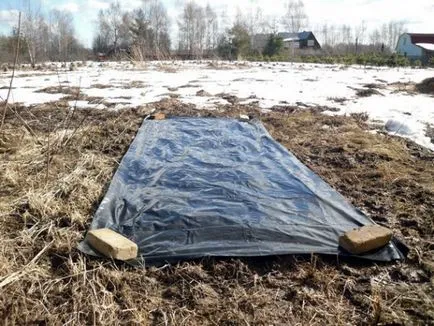 Cum să scapi de substanțe chimice în fără crucea-pământului 5 etape (soluții ecologice) Cum să scapi de substanțe chimice în fără crucea-pământului 5 etape