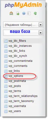 Cum se schimbă prefixul tabelelor de baze de date - WordPress de securitate