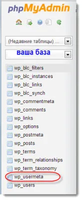 Cum se schimbă prefixul tabelelor de baze de date - WordPress de securitate