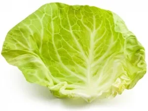 Cum sa scapi de grila venos pe picioare (venoasă) Cum sa scapi de plase de pescuit venoase pe picioare