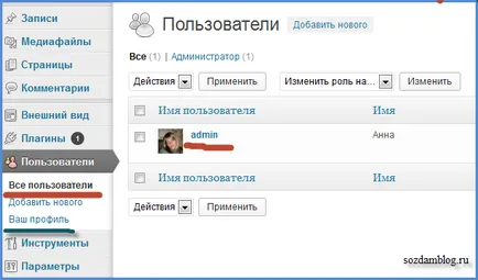 Cum se schimbă numele autorului pe blog în WordPress admin (cum se schimba numele autorului) Cum se schimbă numele autorului pe blog-ul admin WordPress