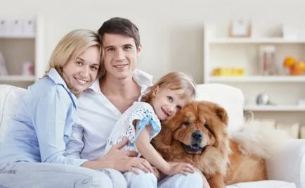 Cum să scapi de resentimente 8 pași pentru Iertarea