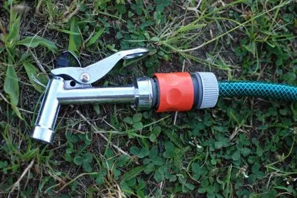Cum sa scapi de scorpiei în grădină o dată pentru totdeauna
